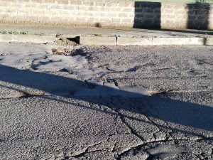 Viale dei Pini a Pescia Romana