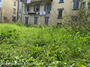 Il degrado nel giardino pubblico