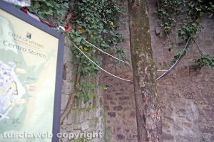 Viterbo - I cavi a piazza San Carluccio