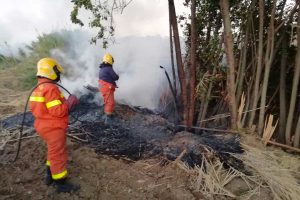 Tarquinia - Incendio di sterpaglie
