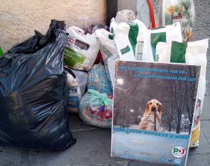 Montalto di Castro - L'iniziativa del Pd