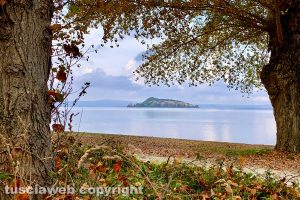 Il lago di Bolsena