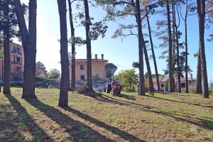 Viterbo - Parco del Colle a San Martino al Cimino