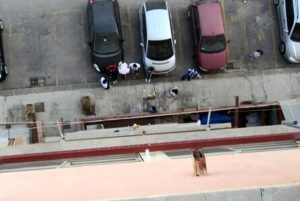 Palermo - Il cane abbandonato
