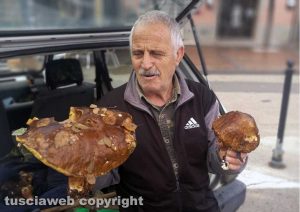 Vasanello - Trovato un porcino gigante da 2chili e 100 grammi