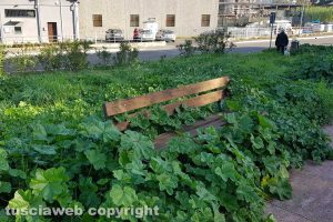 Viterbo - Incuria nel parco di via Madre Teresa di Calcutta