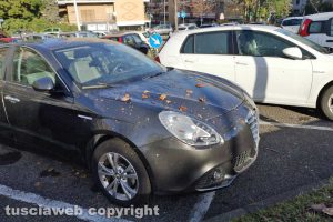 Viterbo - Le auto in sosta in via I Maggio