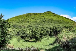 La Palanzana