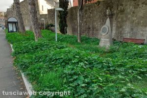 Viterbo - Incuria in viale Raniero Capocci