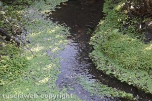 La magia dell'acqua