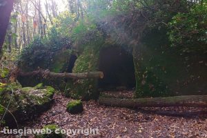 I boschi di Bomarzo e Chia