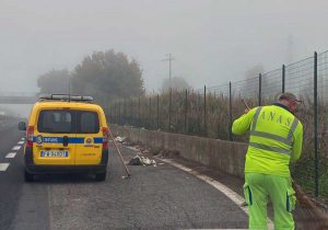 Orte - L'Anas rimuove i rifiuti sulla Ss 675