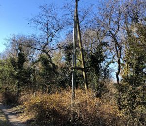 Il palo della Telecom installato a casa di Armanda Michelli