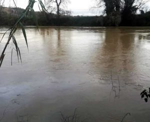Orte - Il Tevere in piena