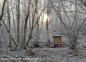 Neve sulla faggeta