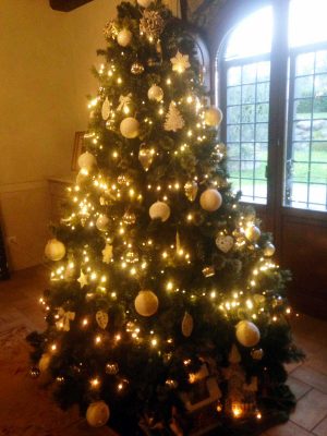 L'albero di Natale della speranza