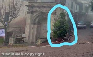 Sipicciano - L'albero di Natale spoglio