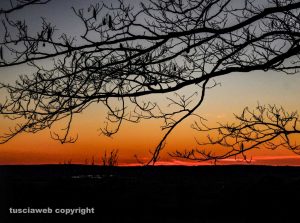 Viterbo - Tramonto al Barigello