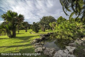 Viterbo - Orto botanico - Foto di Maurizio Di Giovancarlo