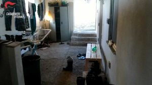 Ischia di Castro - Sfruttamento del lavoro