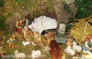 Vetralla - Il gatto nel presepe di Anna Rita Cesarini
