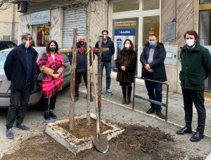Il circolo locale di Fratelli d'Italia dona un albero alla città