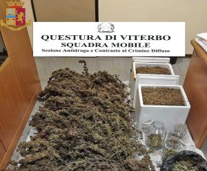 Viterbo - Polizia - La droga sequestrata