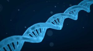 Malattie genetiche rare, una stringa di dna