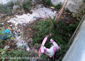 Viterbo - Incuria all'ex-lavatoio di via Signorelli