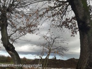 Querce