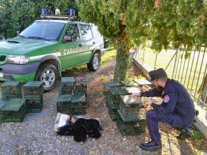 Caccia - Dispositivi di richiamo illegali individuati da guardie giurate Wwf