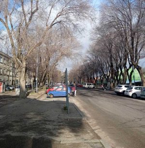 Viale Trento
