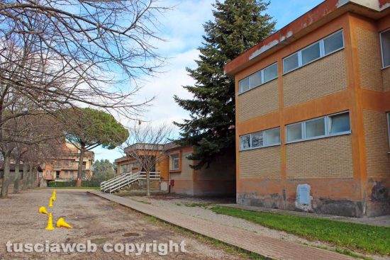 Viterbo - Scuola elementare Ellera