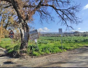 Viterbo - Il punto dove si trovavano i cassonetti a Torre del Guercio