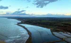 Tarquinia - La riserva delle Saline