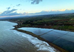Tarquinia - La riserva delle Saline
