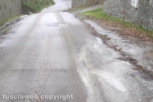 Viterbo - Incuria lungo strada Canale