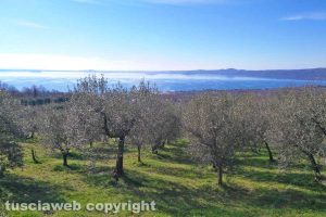 Bolsena - Una giornata di sole