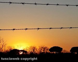 Viterbo - Tramonto dietro al filo spinato