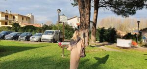 Un mezzo di fiori nella piazza intitolata a Jan Palach