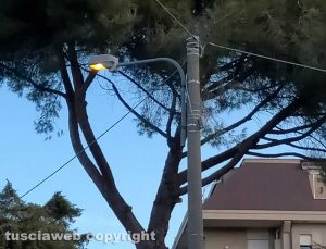 Viterbo - Lampioni accesi in pieno giorno in via Santa Maria in Gradi