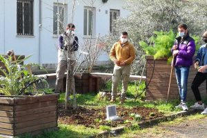 Tarquinia - Un mandorlo in ricordo di Marilena Ermini