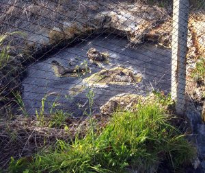 Viterbo - Pozzo San Valentino
