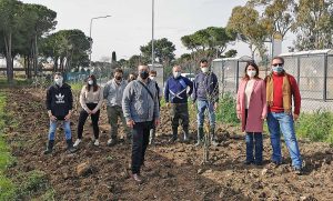 Tarquinia - I ragazzi del Cardarelli piantano gli olivi