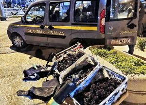 Santa Marinella - Pescatore di frodo trovato con 100 chili di ricci di mare