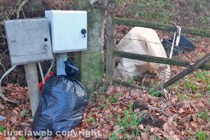 Viterbo - Rifiuti in strada Ellera e strada Caselle