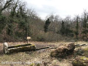 Viterbo - Il fontanile delle sette cannelle ripulito