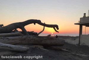 Montalto di Castro - Tramonto