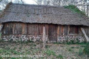 La riserva naturale Selva del Lamone
