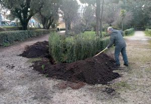 Vetralla - La manutenzione del verde a villa Canonica